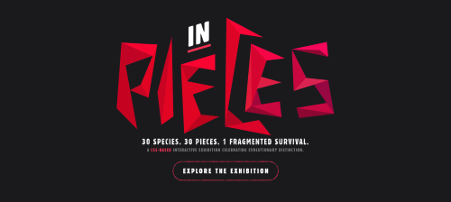 InPieces
