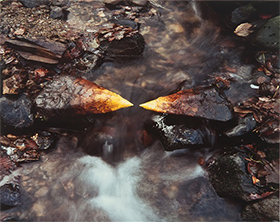 Andy Goldsworthy