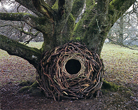 Andy Goldsworthy