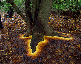 Andy Goldsworthy