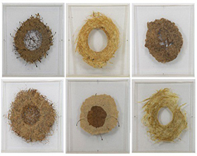 Andy Goldsworthy