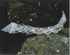 Andy Goldsworthy